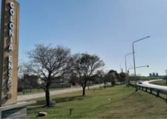 La Justicia habilitó un amparo ambiental por fumigaciones en Colonia Ensayo